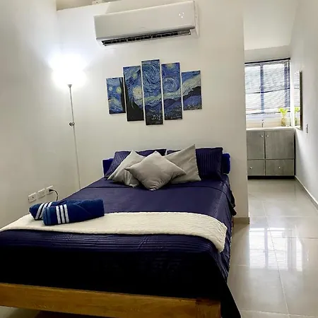 Loft En Marbella Apartamento